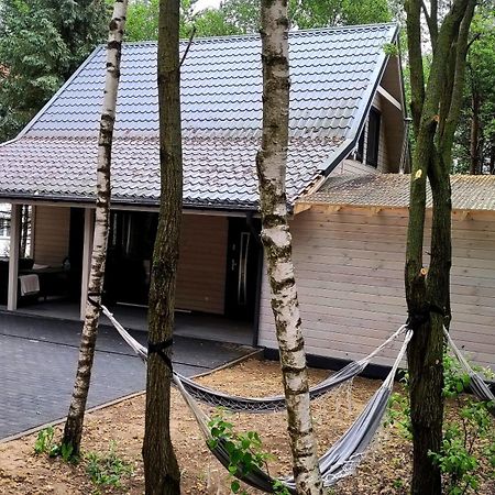 Swierkowisko Cisza Las Plaza Blisko Ostroda Bagian luar foto