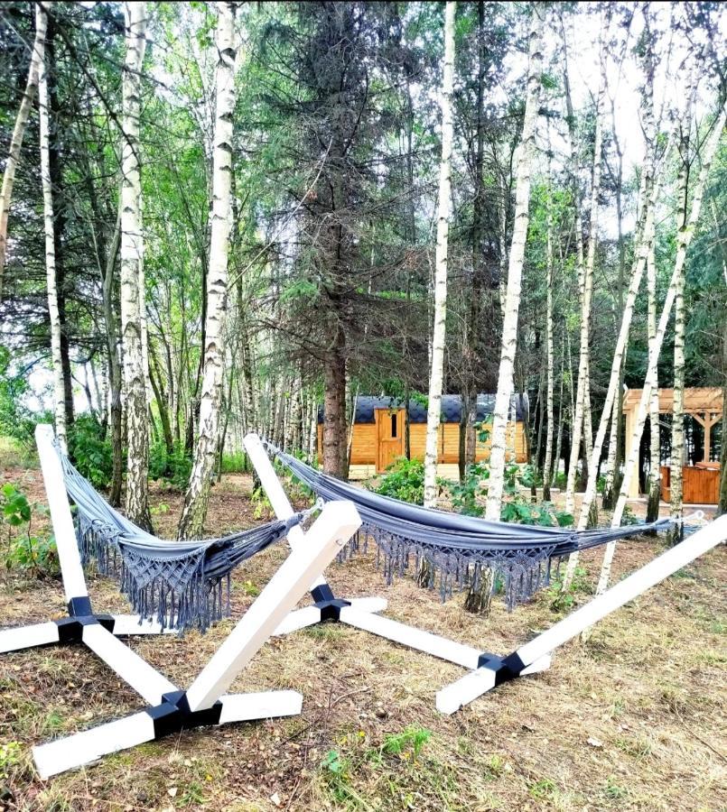 Swierkowisko Cisza Las Plaza Blisko Ostroda Bagian luar foto