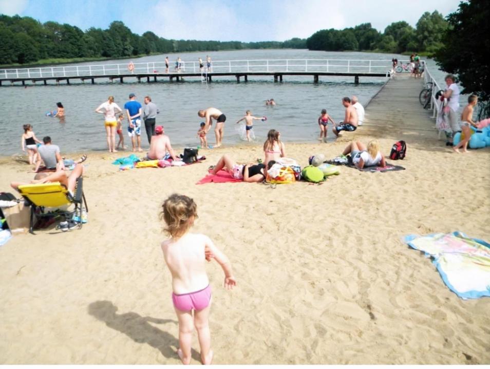 Swierkowisko Cisza Las Plaza Blisko Ostroda Bagian luar foto