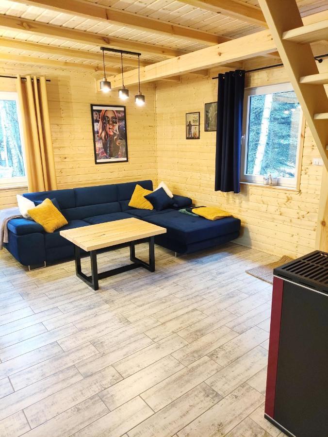 Swierkowisko Cisza Las Plaza Blisko Ostroda Bagian luar foto